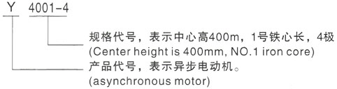 西安泰富西玛Y系列(H355-1000)高压竹山三相异步电机型号说明